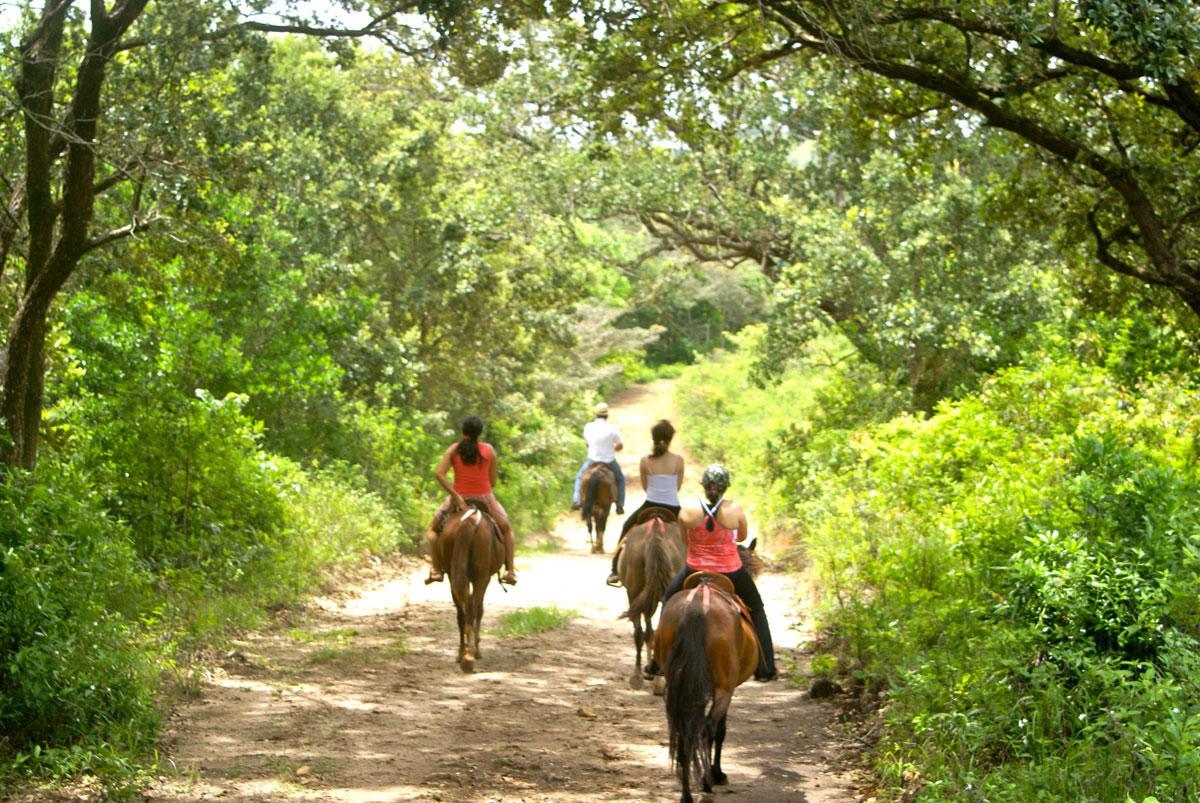 Hotel Vida Aventura Ranch Tanques Esterno foto